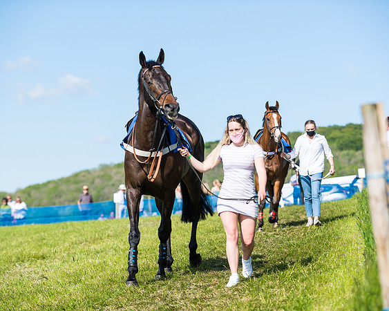 Race 5 - The Restricted  (5 of 111)