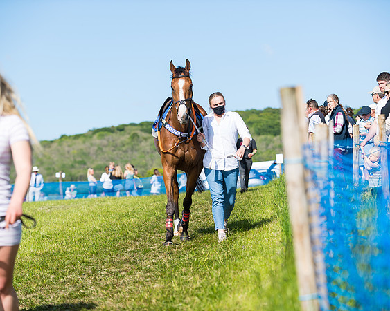 Race 5 - The Restricted  (6 of 111)