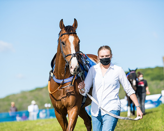 Race 5 - The Restricted  (7 of 111)