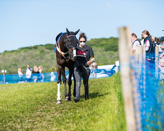 Race 5 - The Restricted  (8 of 111)