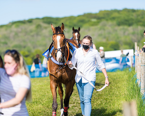 Race 5 - The Restricted  (11 of 111)