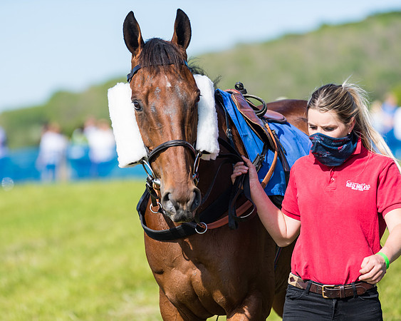 Race 5 - The Restricted  (10 of 111)