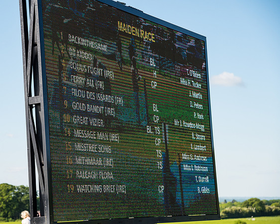 Race 6 - The Open Maiden (1 of 129)