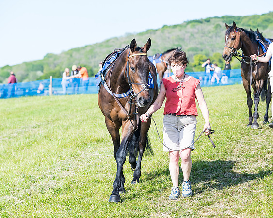 Race 6 - The Open Maiden (2 of 129)
