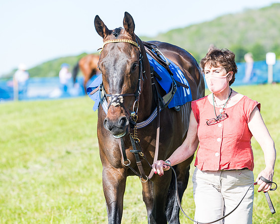 Race 6 - The Open Maiden (3 of 129)