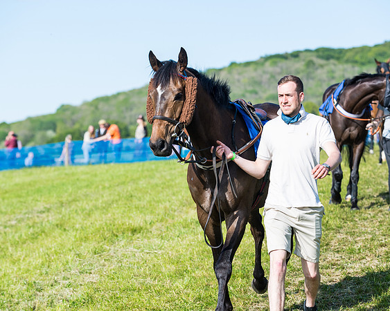 Race 6 - The Open Maiden (4 of 129)