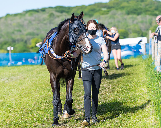 Race 6 - The Open Maiden (6 of 129)