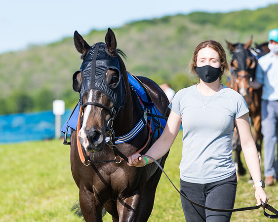 Race 6 - The Open Maiden (7 of 129)