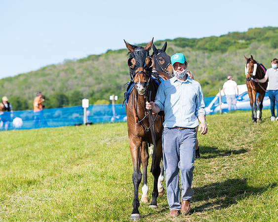 Race 6 - The Open Maiden (8 of 129)