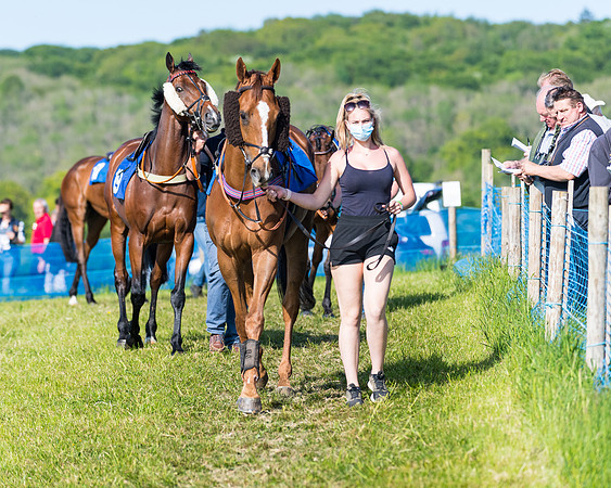 Race 6 - The Open Maiden (15 of 129)