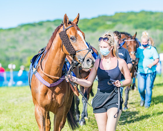 Race 6 - The Open Maiden (16 of 129)