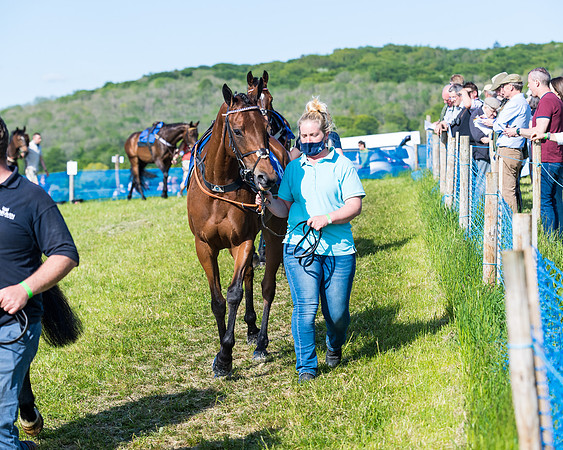 Race 6 - The Open Maiden (18 of 129)