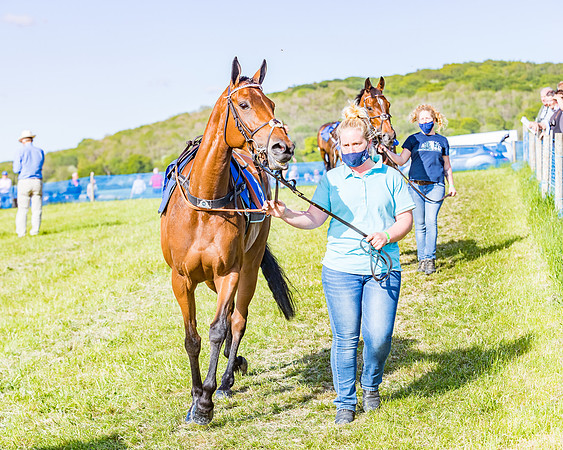 Race 6 - The Open Maiden (19 of 129)