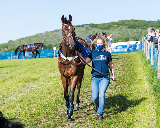 Race 6 - The Open Maiden (20 of 129)