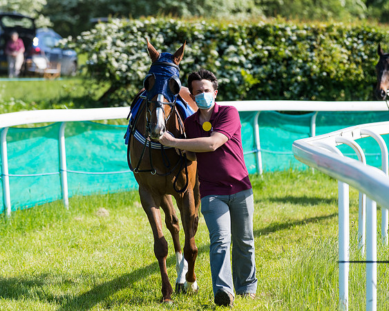 Race 6 - The Open Maiden (24 of 129)