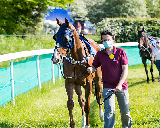Race 6 - The Open Maiden (25 of 129)