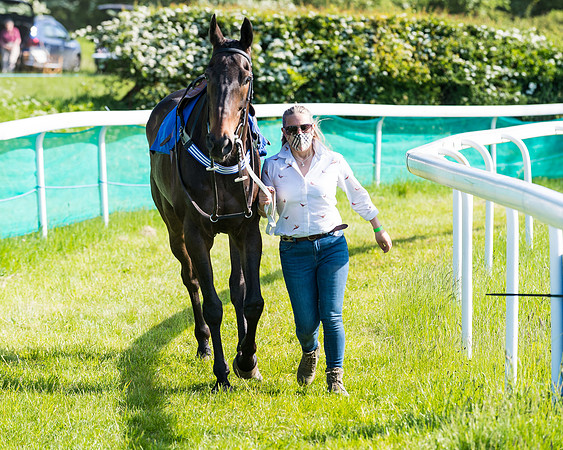 Race 6 - The Open Maiden (26 of 129)