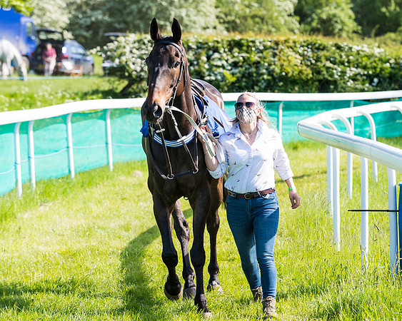 Race 6 - The Open Maiden (27 of 129)