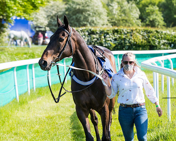 Race 6 - The Open Maiden (28 of 129)