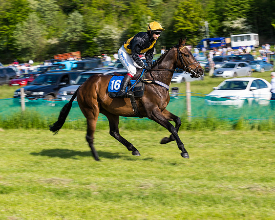 Race 6 - The Open Maiden (29 of 129)