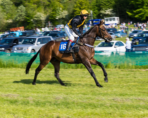 Race 6 - The Open Maiden (30 of 129)