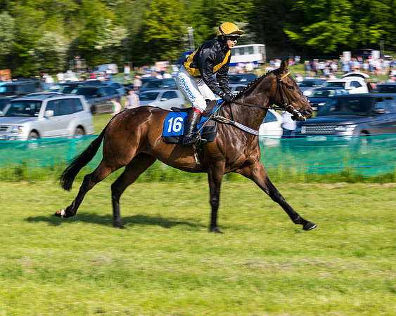 Race 6 - The Open Maiden (31 of 129)