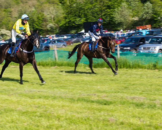 Race 6 - The Open Maiden (32 of 129)