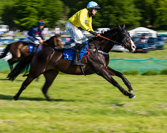 Race 6 - The Open Maiden (34 of 129)