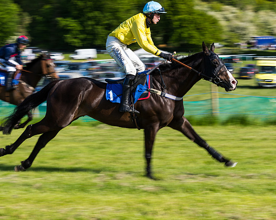 Race 6 - The Open Maiden (35 of 129)