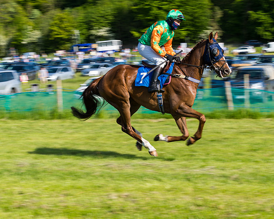 Race 6 - The Open Maiden (36 of 129)
