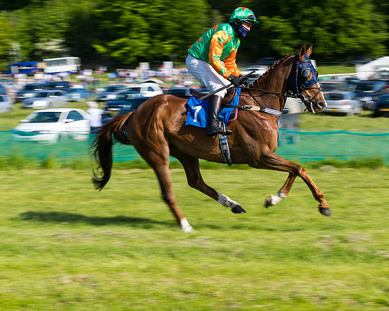 Race 6 - The Open Maiden (37 of 129)