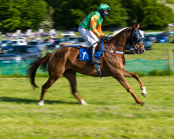 Race 6 - The Open Maiden (38 of 129)