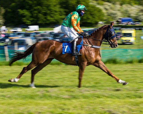 Race 6 - The Open Maiden (39 of 129)