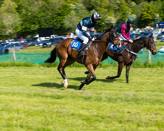 Race 6 - The Open Maiden (41 of 129)