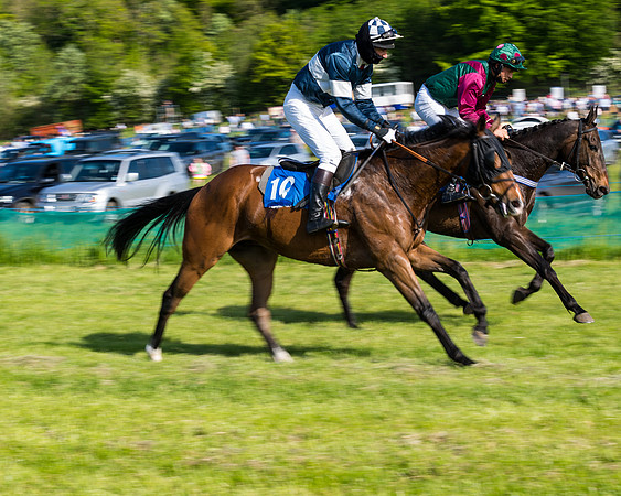 Race 6 - The Open Maiden (42 of 129)