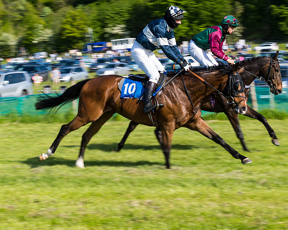 Race 6 - The Open Maiden (43 of 129)