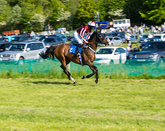 Race 6 - The Open Maiden (44 of 129)