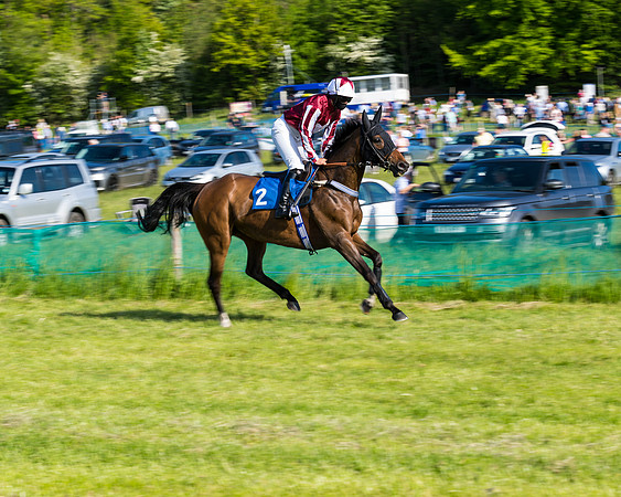 Race 6 - The Open Maiden (45 of 129)