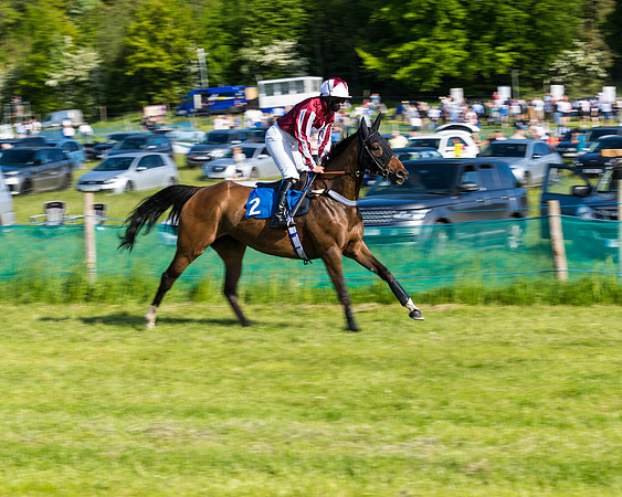 Race 6 - The Open Maiden (46 of 129)