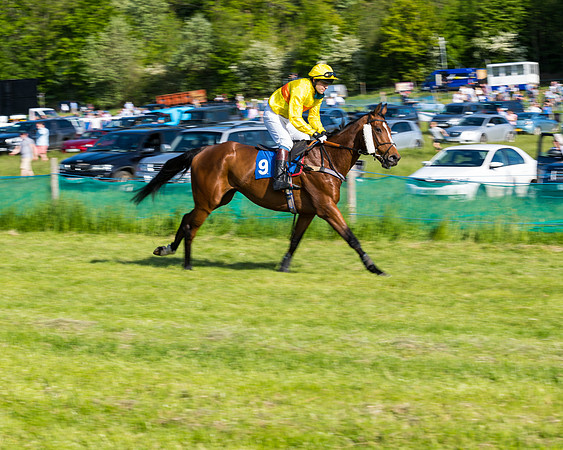 Race 6 - The Open Maiden (47 of 129)