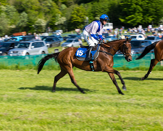 Race 6 - The Open Maiden (48 of 129)