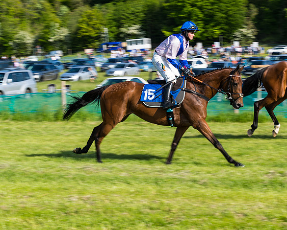 Race 6 - The Open Maiden (49 of 129)