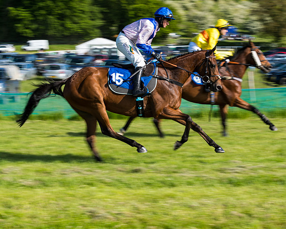 Race 6 - The Open Maiden (50 of 129)