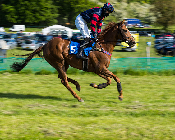 Race 6 - The Open Maiden (51 of 129)