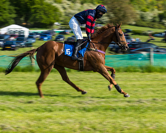 Race 6 - The Open Maiden (52 of 129)