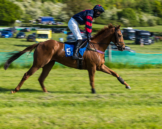 Race 6 - The Open Maiden (53 of 129)