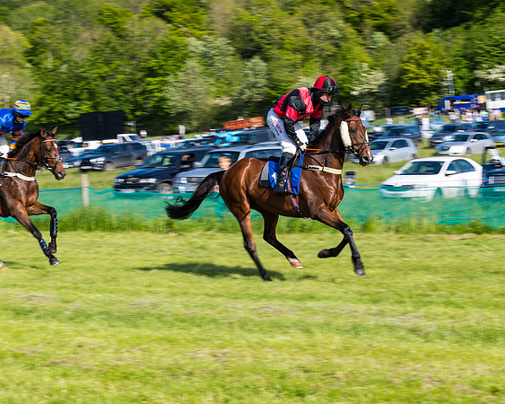 Race 6 - The Open Maiden (55 of 129)