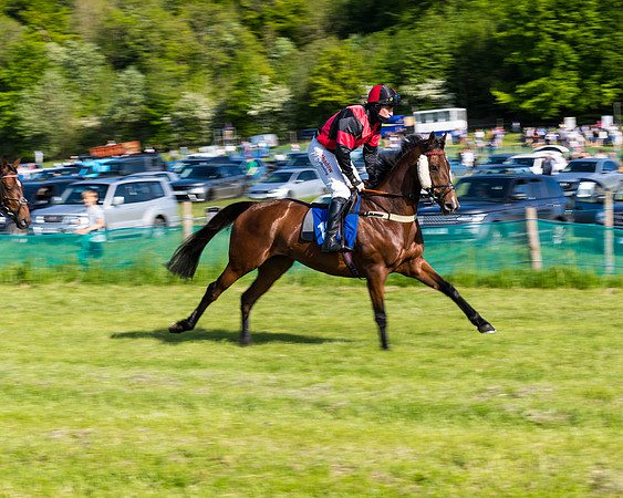 Race 6 - The Open Maiden (56 of 129)