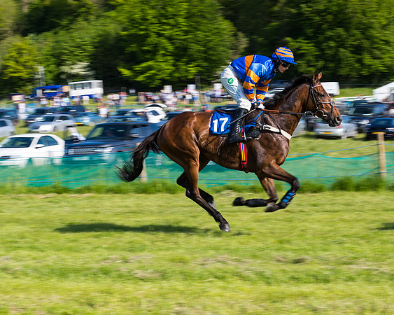Race 6 - The Open Maiden (57 of 129)