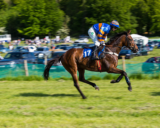 Race 6 - The Open Maiden (58 of 129)